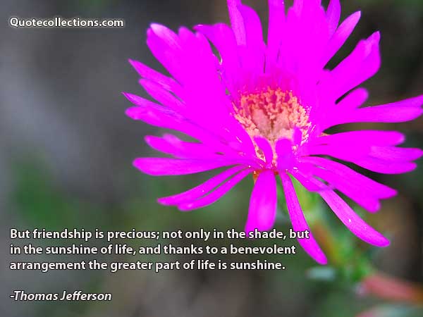 Thomas Jefferson Quotes3